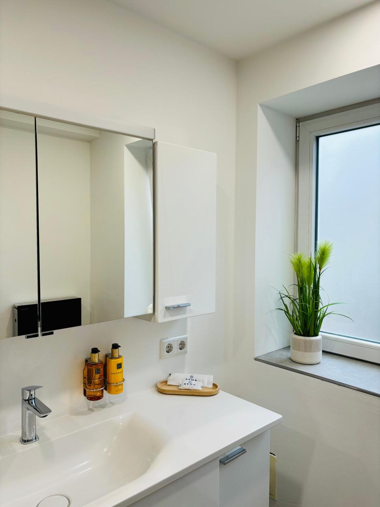 Jacuzzi Terrasse 55' Tv Kueche Regendusche Apartman Bad Bellingen Kültér fotó